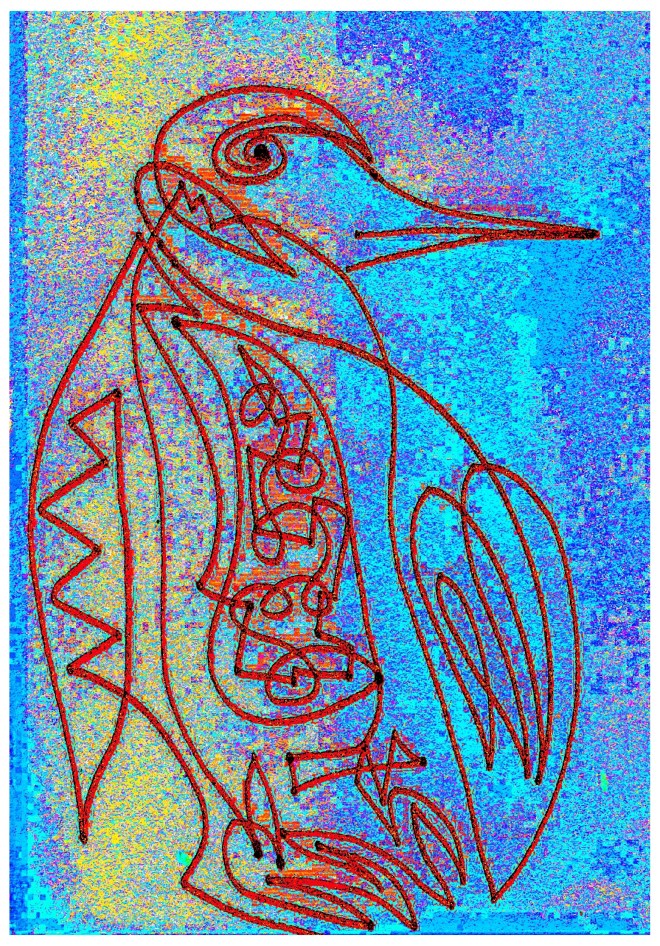 Pinguin - Peter Häusser